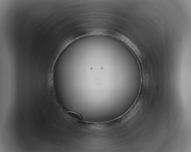 X0000101701097200807171509