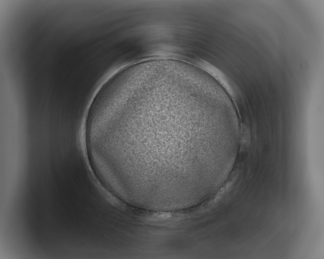 X0000101701098200807171509