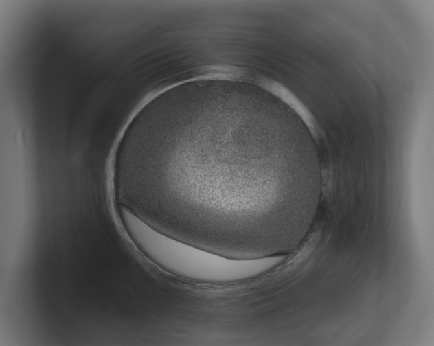 X0000101701099200807171509