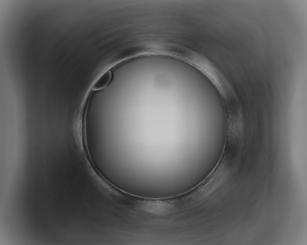 X0000101701100200807171509