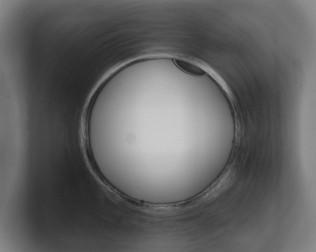 X0000101701101200807171509