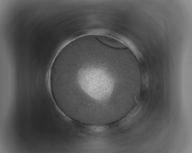 X0000101701103200807171509