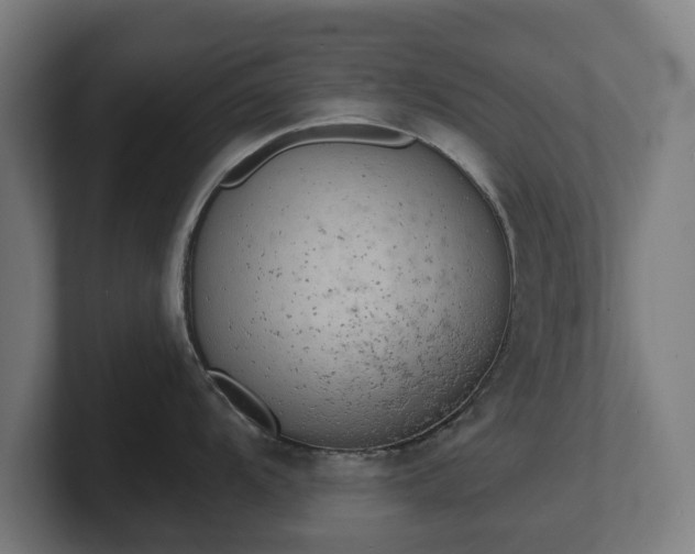 X0000101701104200807171509