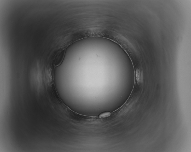 X0000101701107200807171508