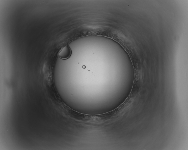 X0000101701109200807171508