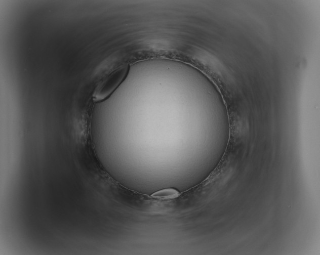 X0000101701110200807171508