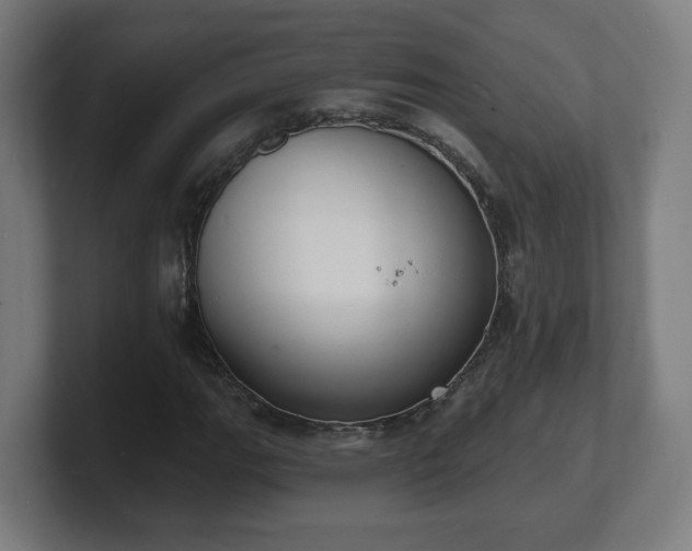 X0000101701111200807171508