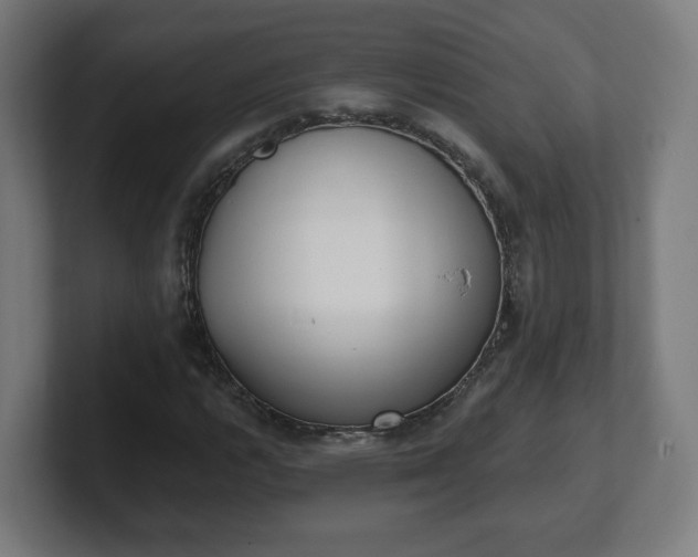 X0000101701112200807171508