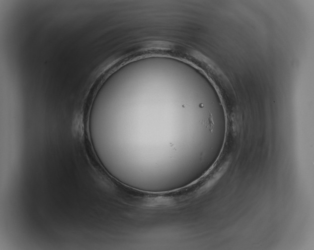 X0000101701113200807171508