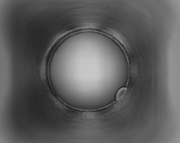 X0000101701116200807171509