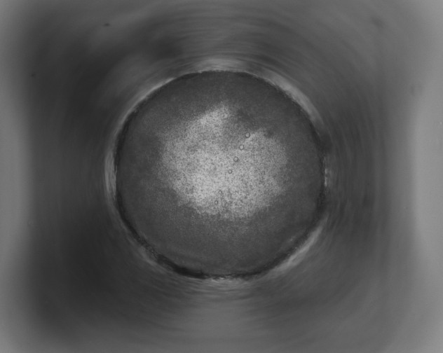 X0000101701117200807171509