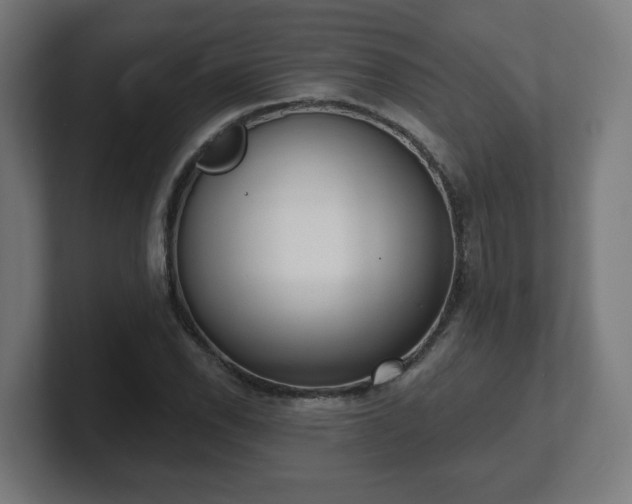 X0000101701118200807171509