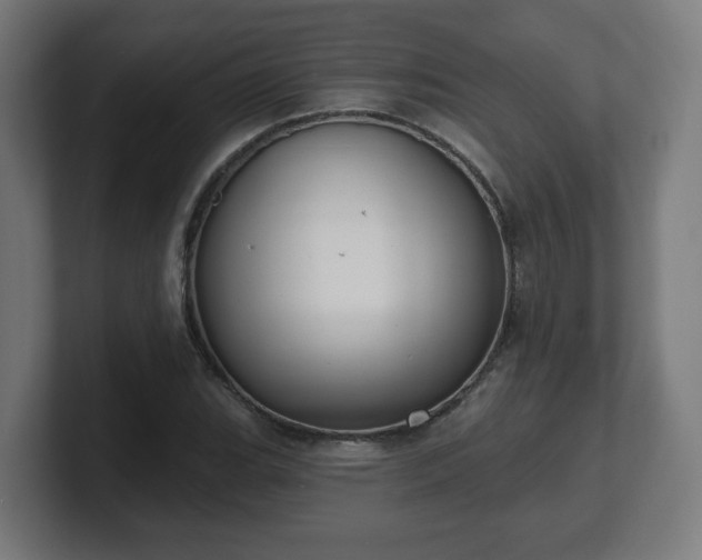 X0000101701119200807171509