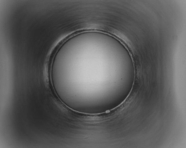 X0000101701120200807171509