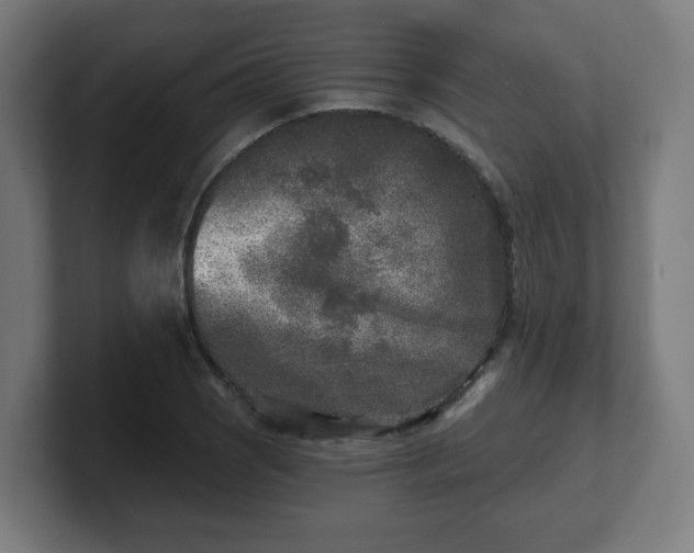 X0000101701121200807171509