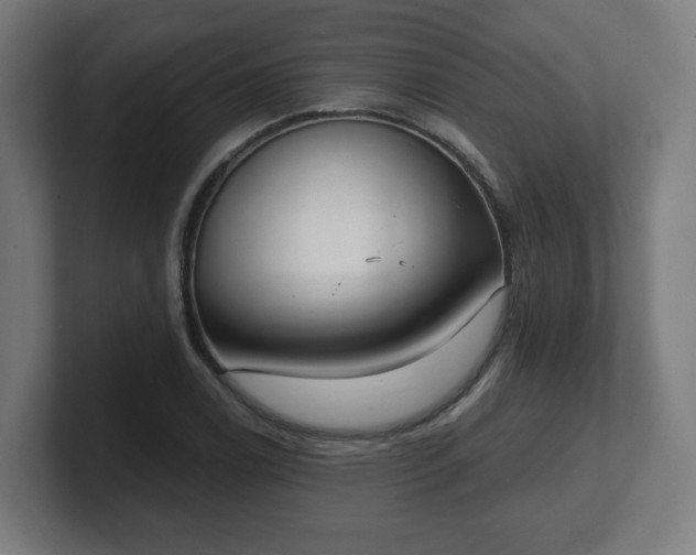 X0000101701122200807171509