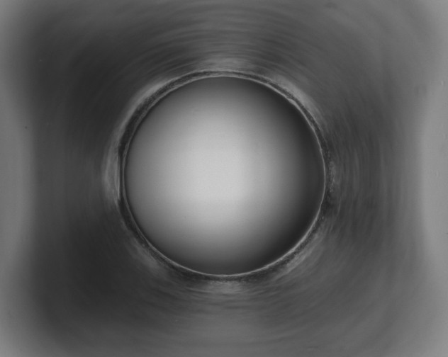 X0000101701123200807171509