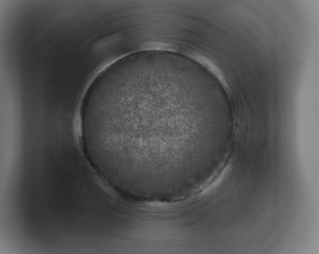 X0000101701125200807171509