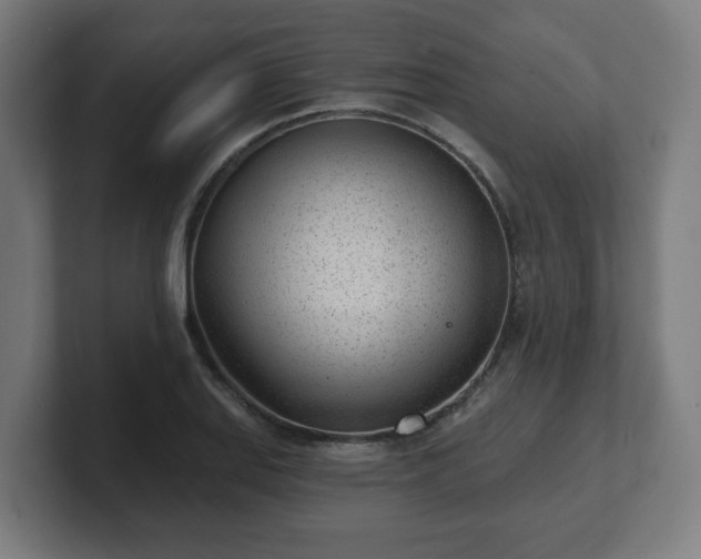 X0000101701127200807171509