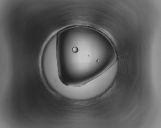 X0000101701128200807171509