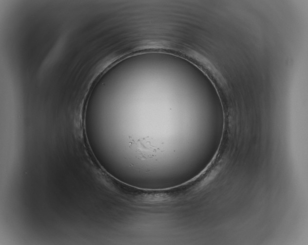 X0000101701129200807171509