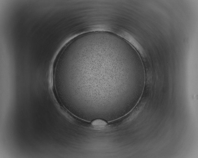 X0000101701132200807171509