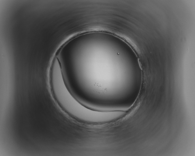 X0000101701134200807171509