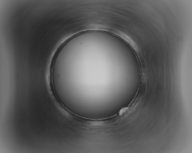 X0000101701136200807171509