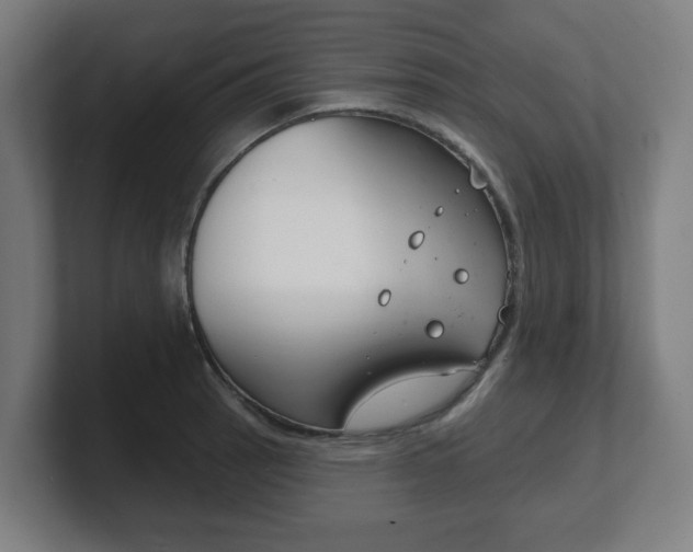 X0000101701137200807171509