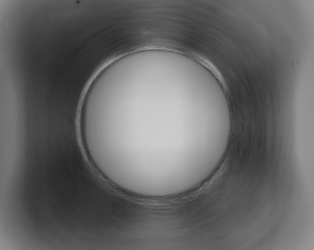 X0000101701138200807171509