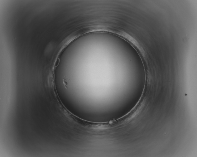 X0000101701145200807171509