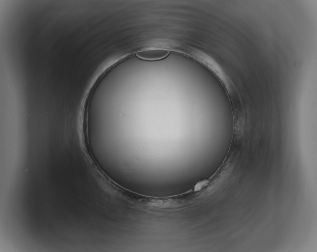 X0000101701146200807171509