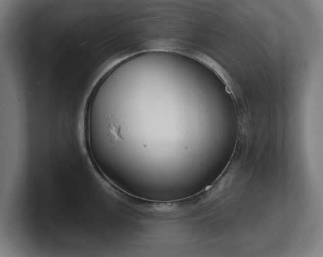 X0000101701147200807171509