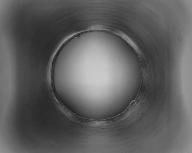 X0000101701148200807171509