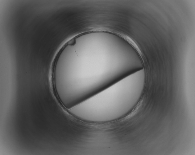 X0000101701149200807171509