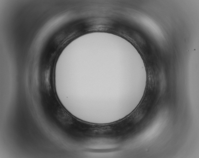 X0000101701150200807171509