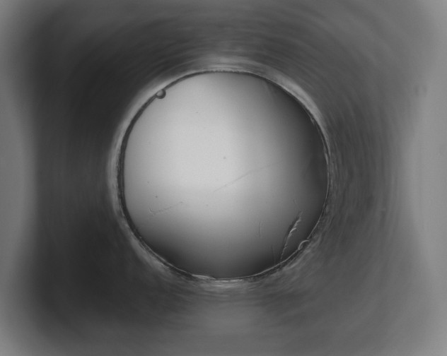 X0000101701152200807171509