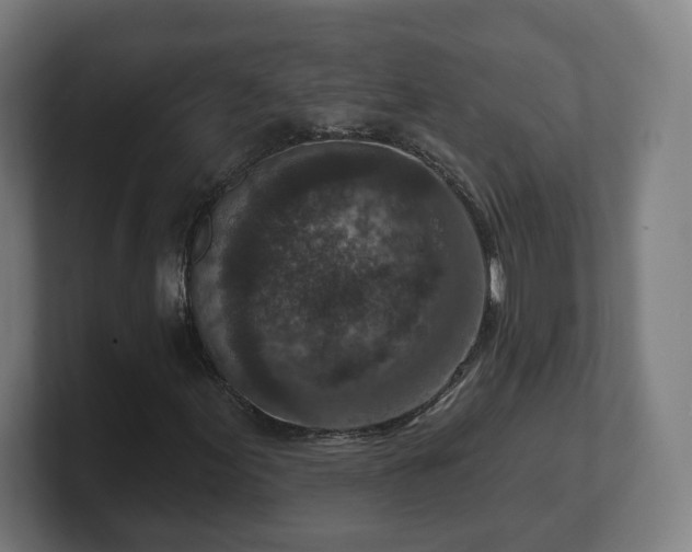 X0000101701155200807171508