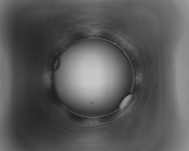 X0000101701156200807171508