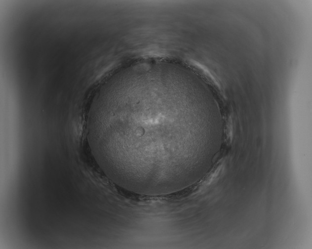 X0000101701157200807171508