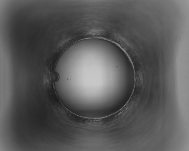 X0000101701158200807171508