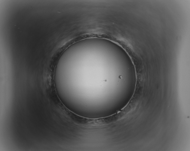 X0000101701159200807171508