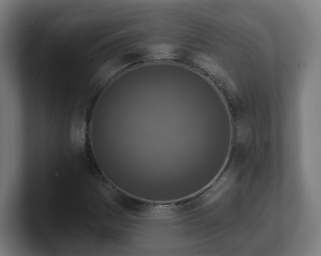 X0000101701161200807171508