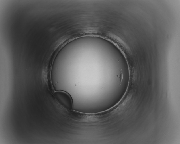 X0000101701162200807171508