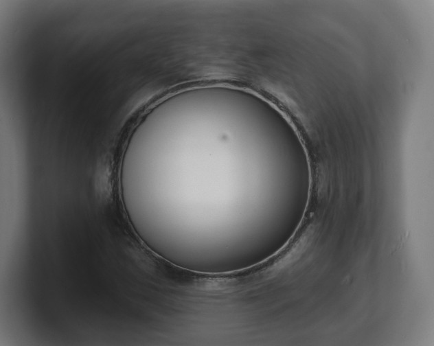 X0000101701163200807171508