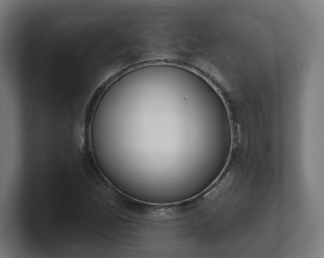 X0000101701165200807171508