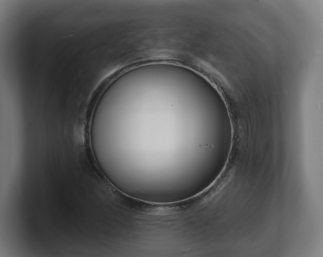 X0000101701166200807171508