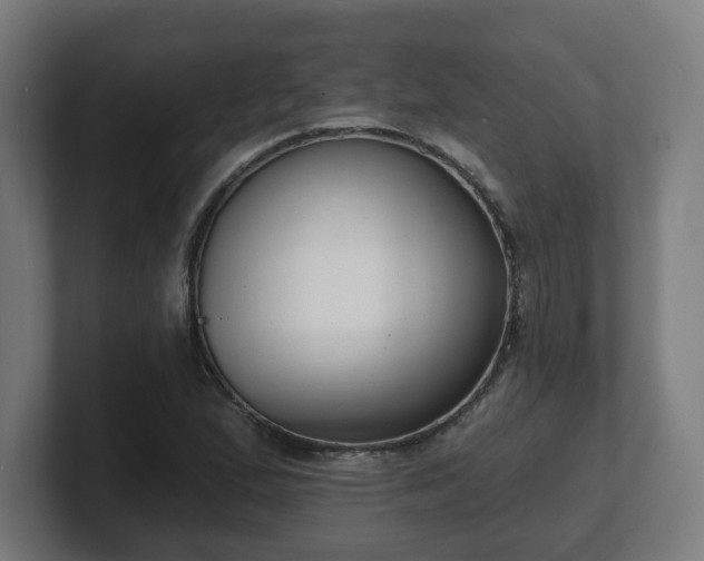 X0000101701167200807171508