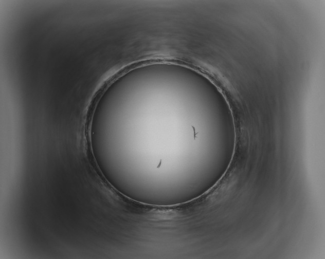 X0000101701168200807171508