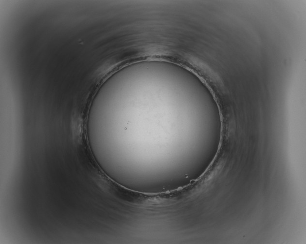 X0000101701169200807171508